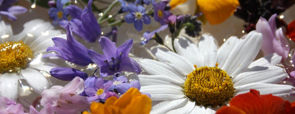 Flowers at Sea Breeze Retreat